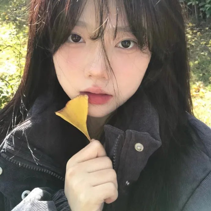 不可能的拍档
