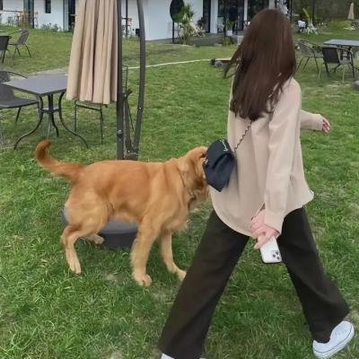 坏伙伴
